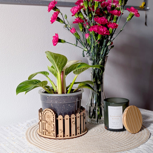 Box & Fence for Flower Pot #4