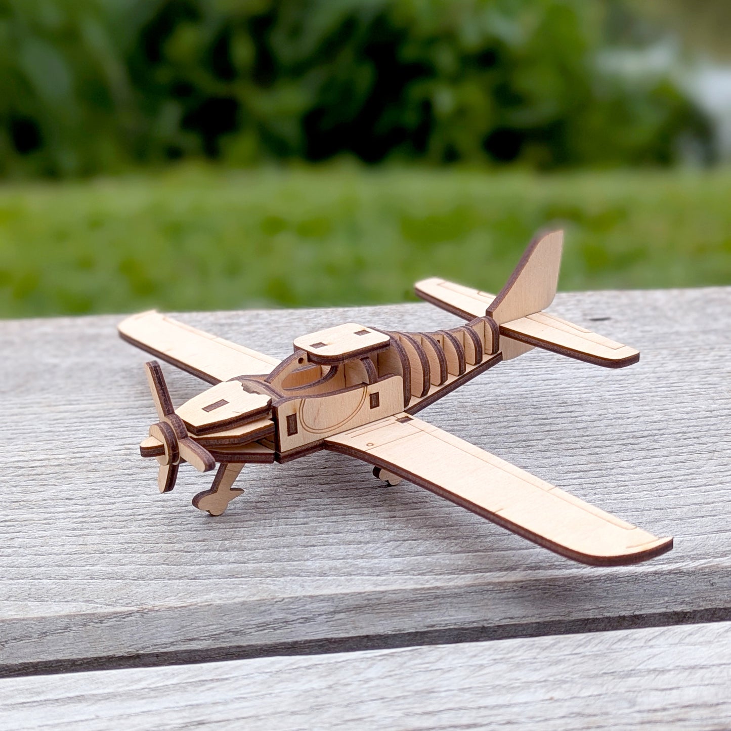 Light Airplane