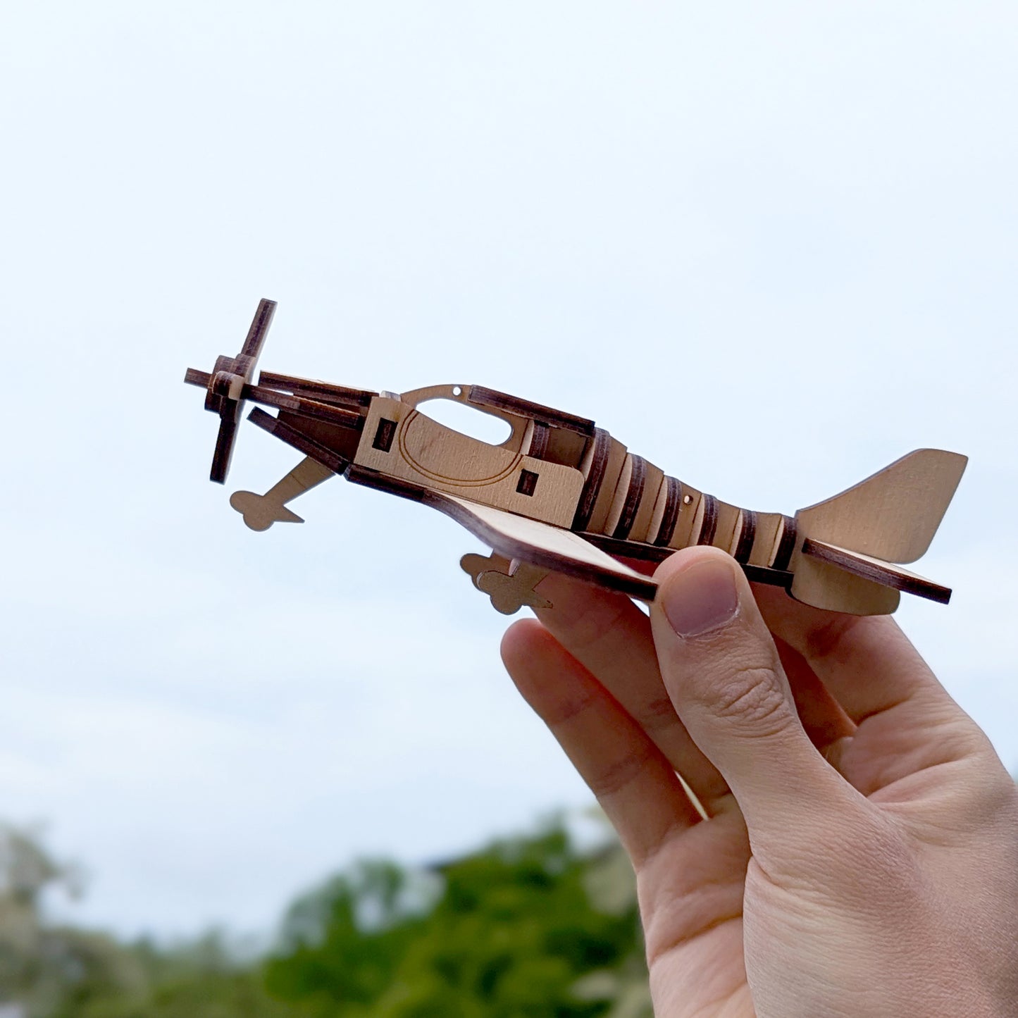 Light Airplane