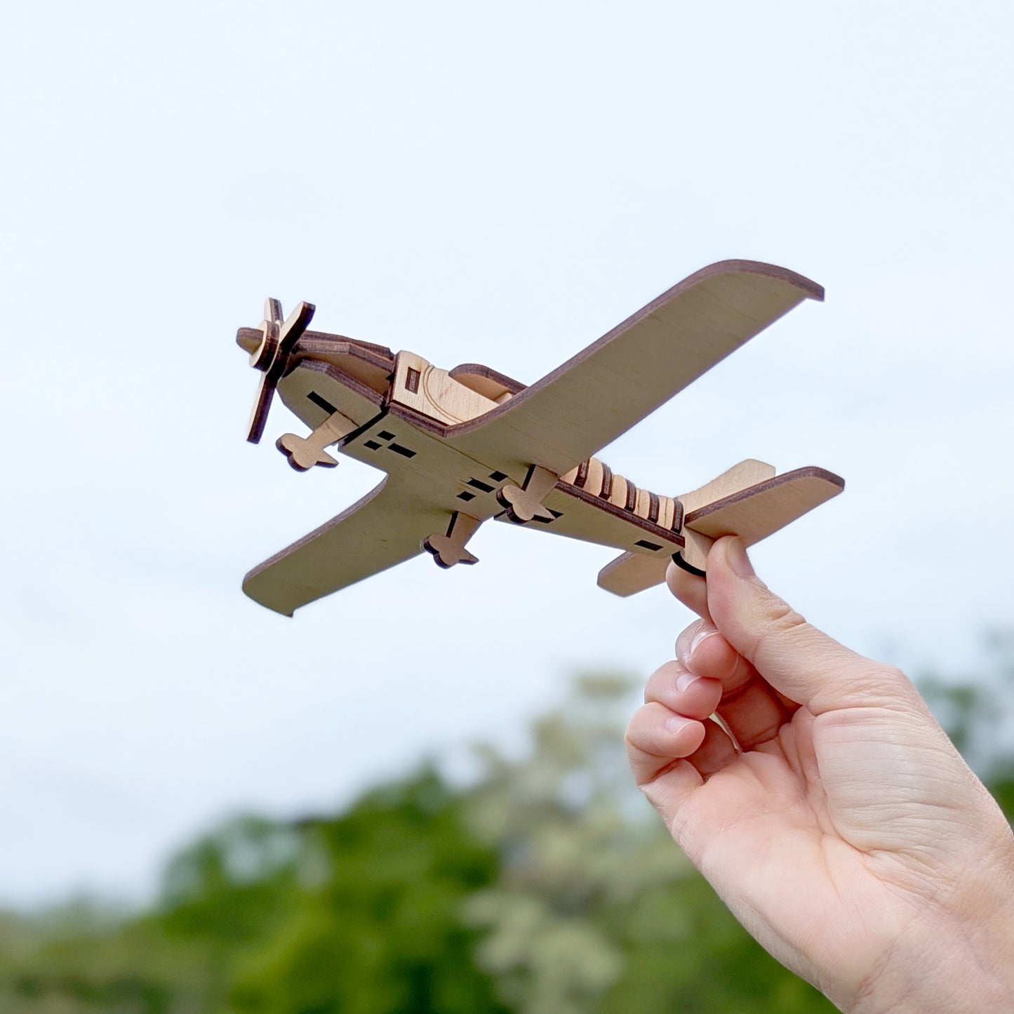 Light Airplane
