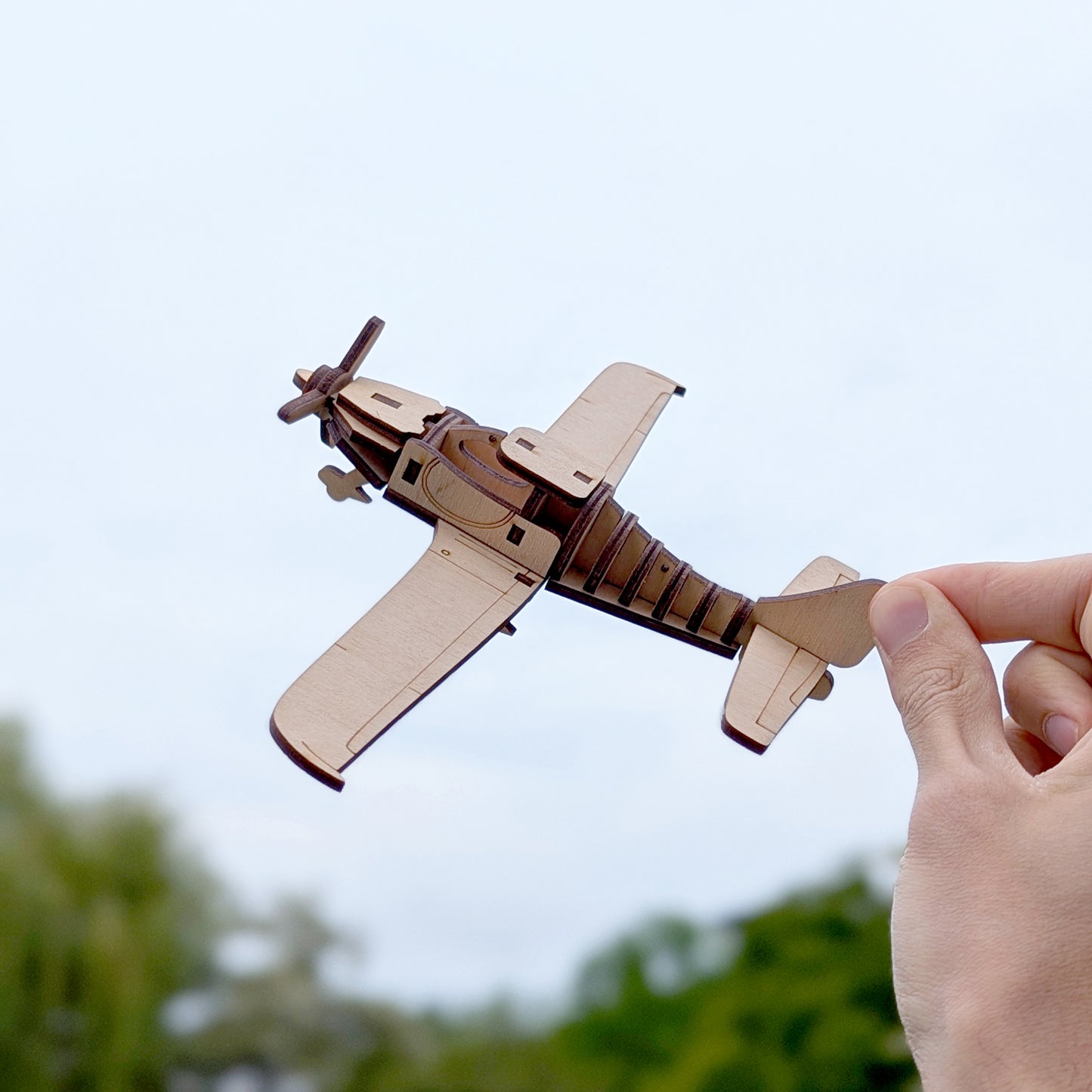 Light Airplane