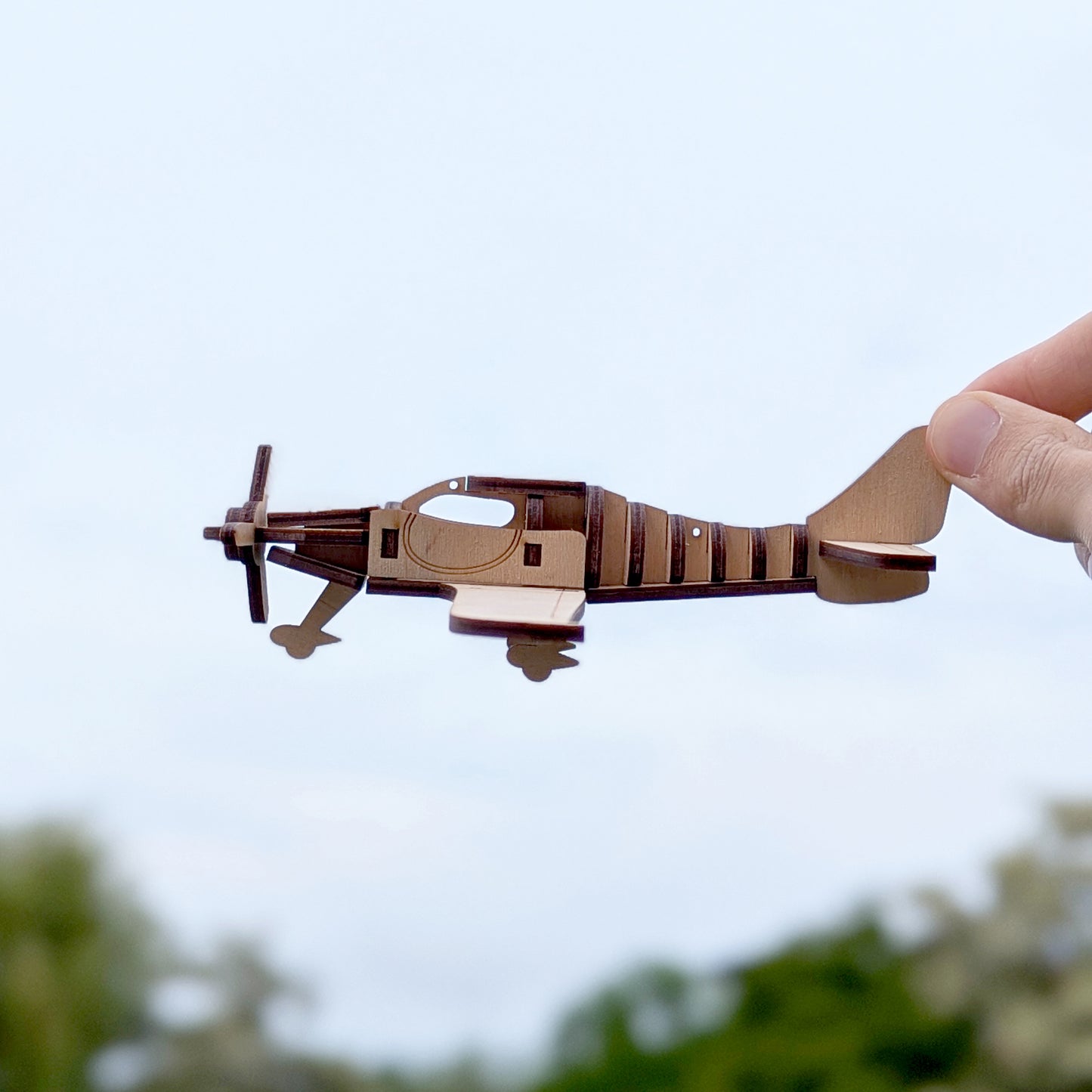 Light Airplane