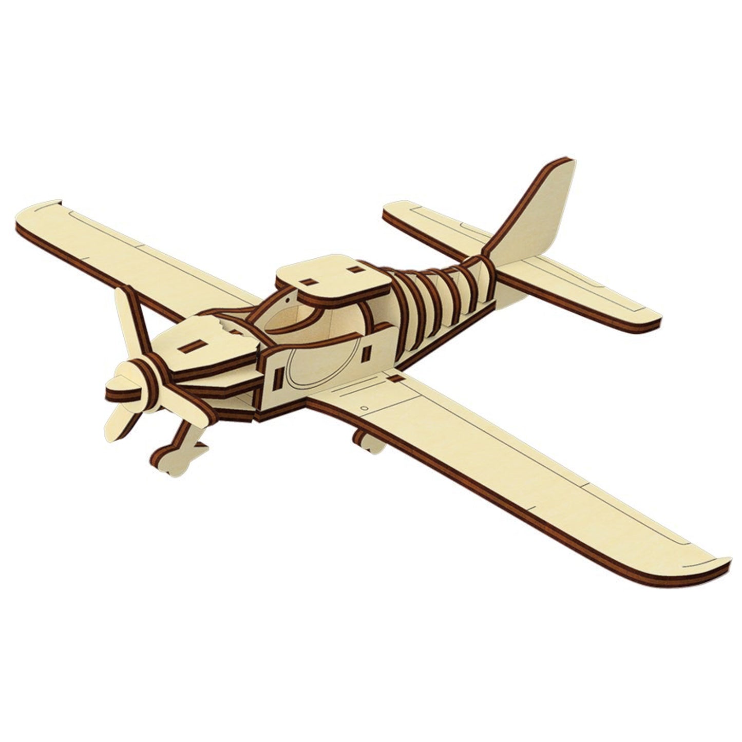 Light Airplane