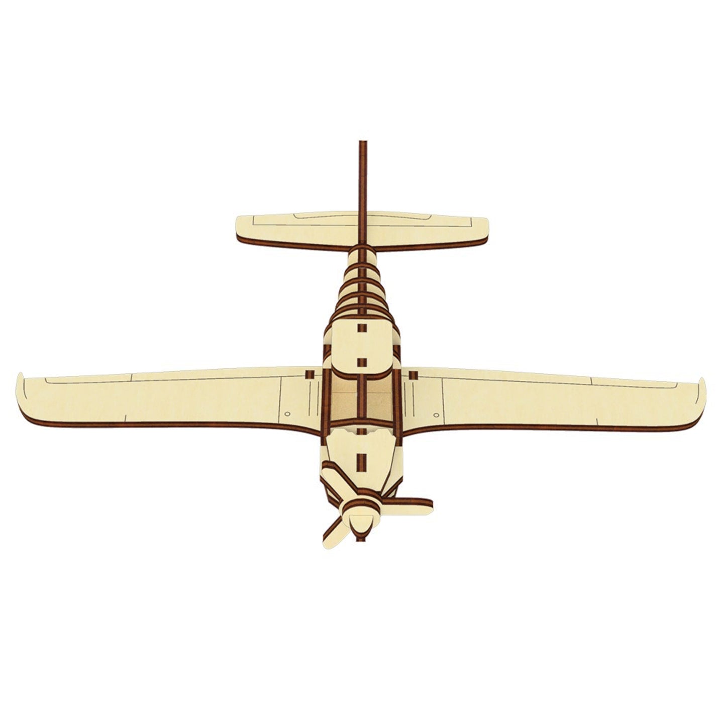 Light Airplane