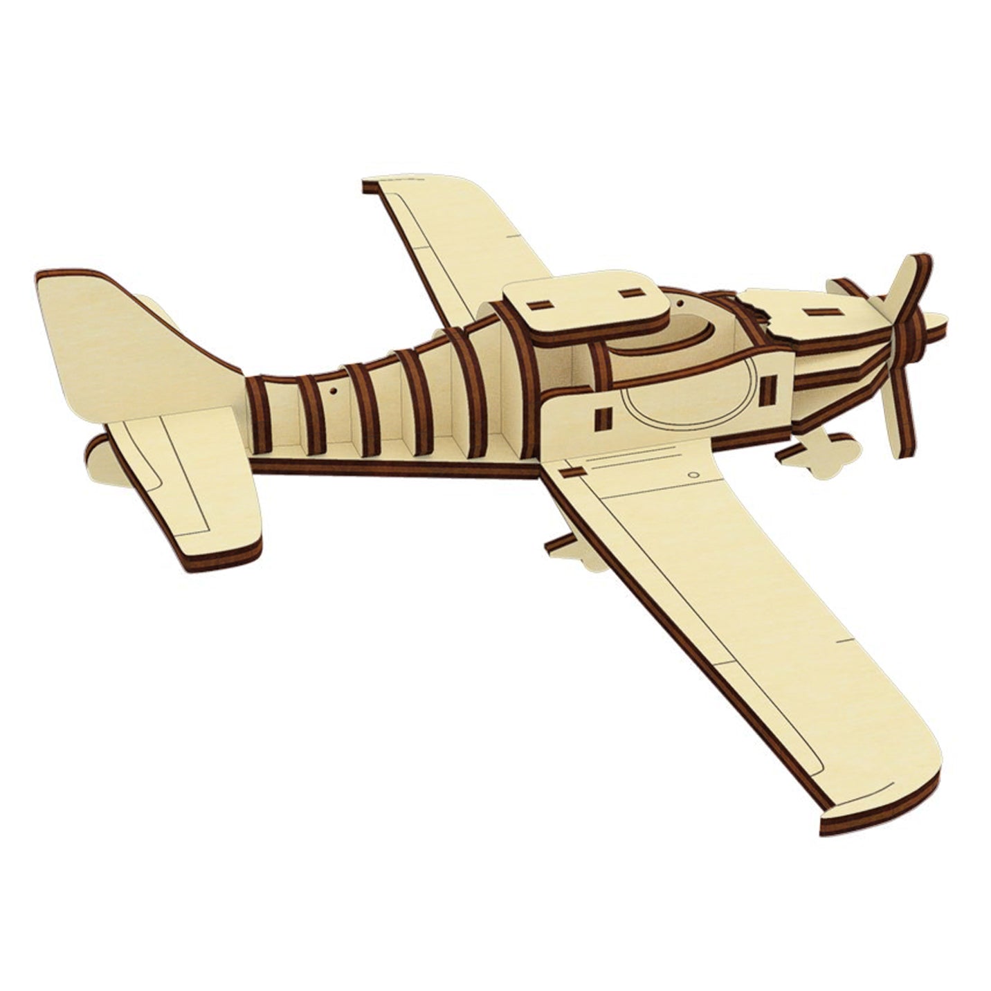 Light Airplane