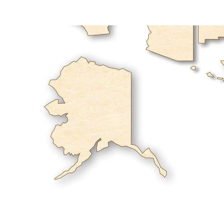 USA Puzzle Map