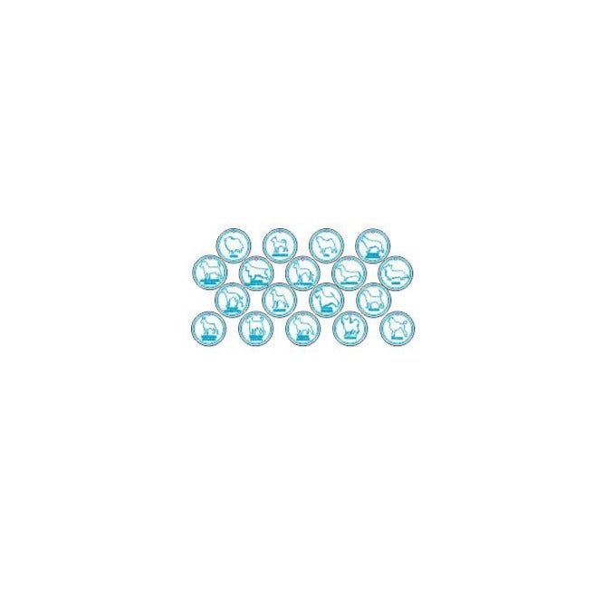 Set of 18 Dog's labels