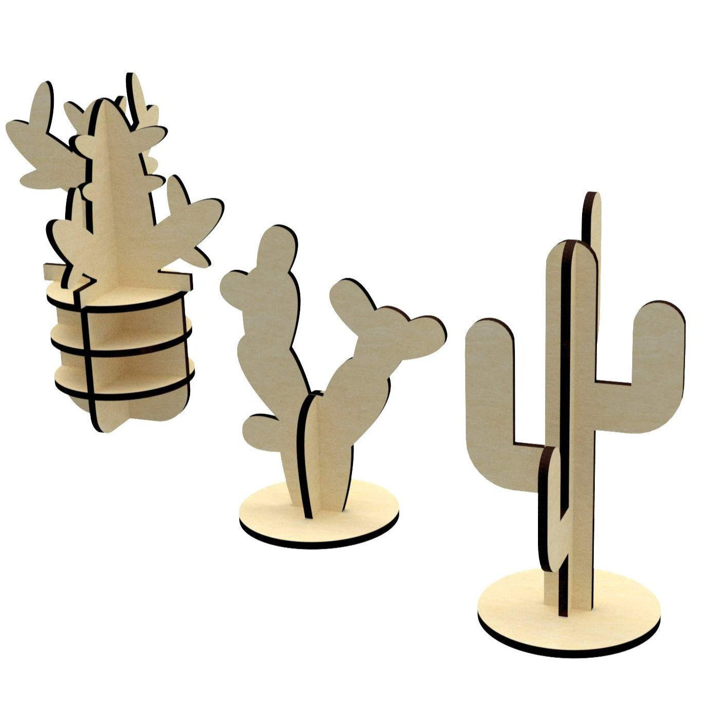 Cactuses