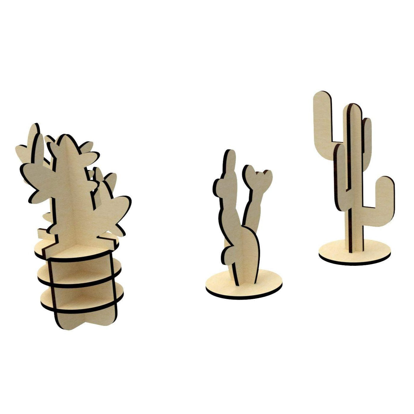 Cactuses