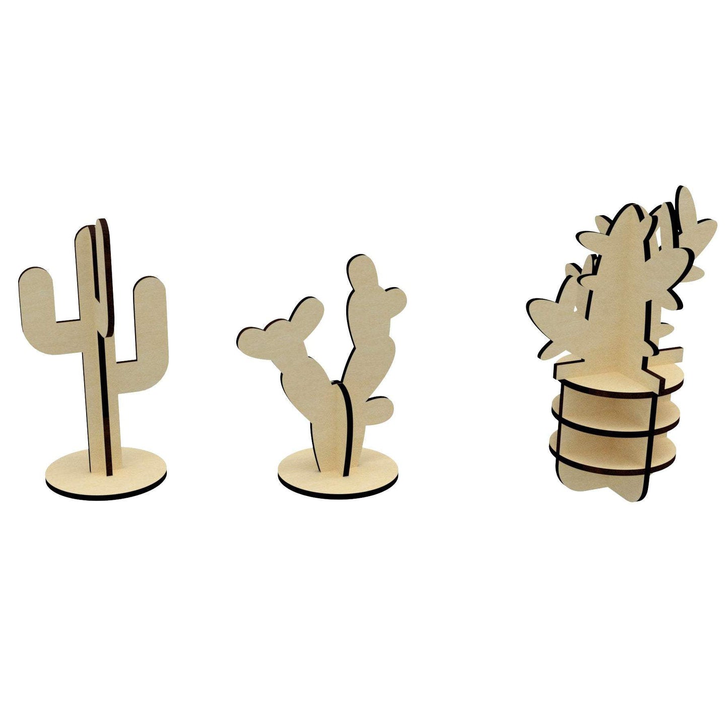 Cactuses