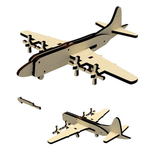 Airplane Miniature