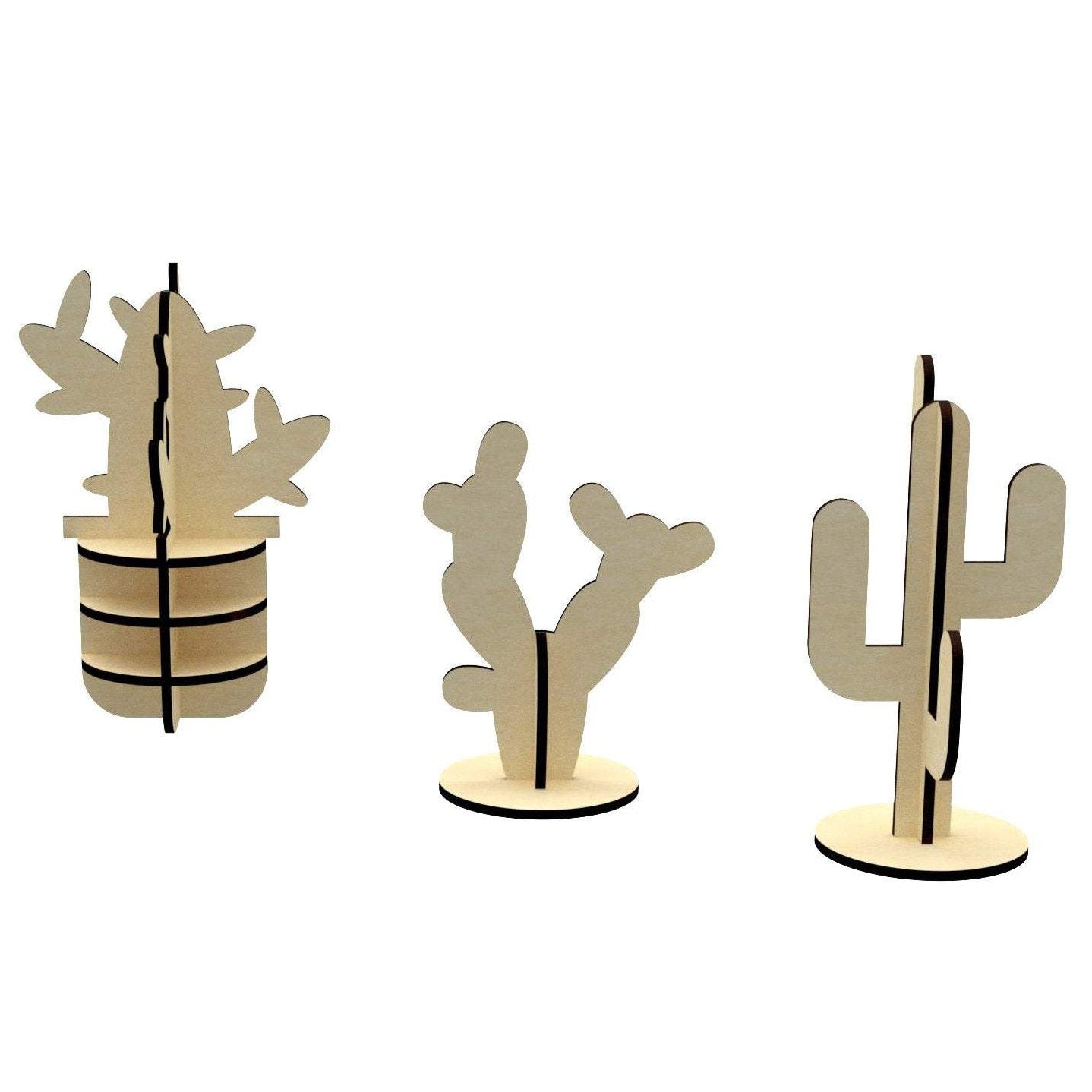Cactuses