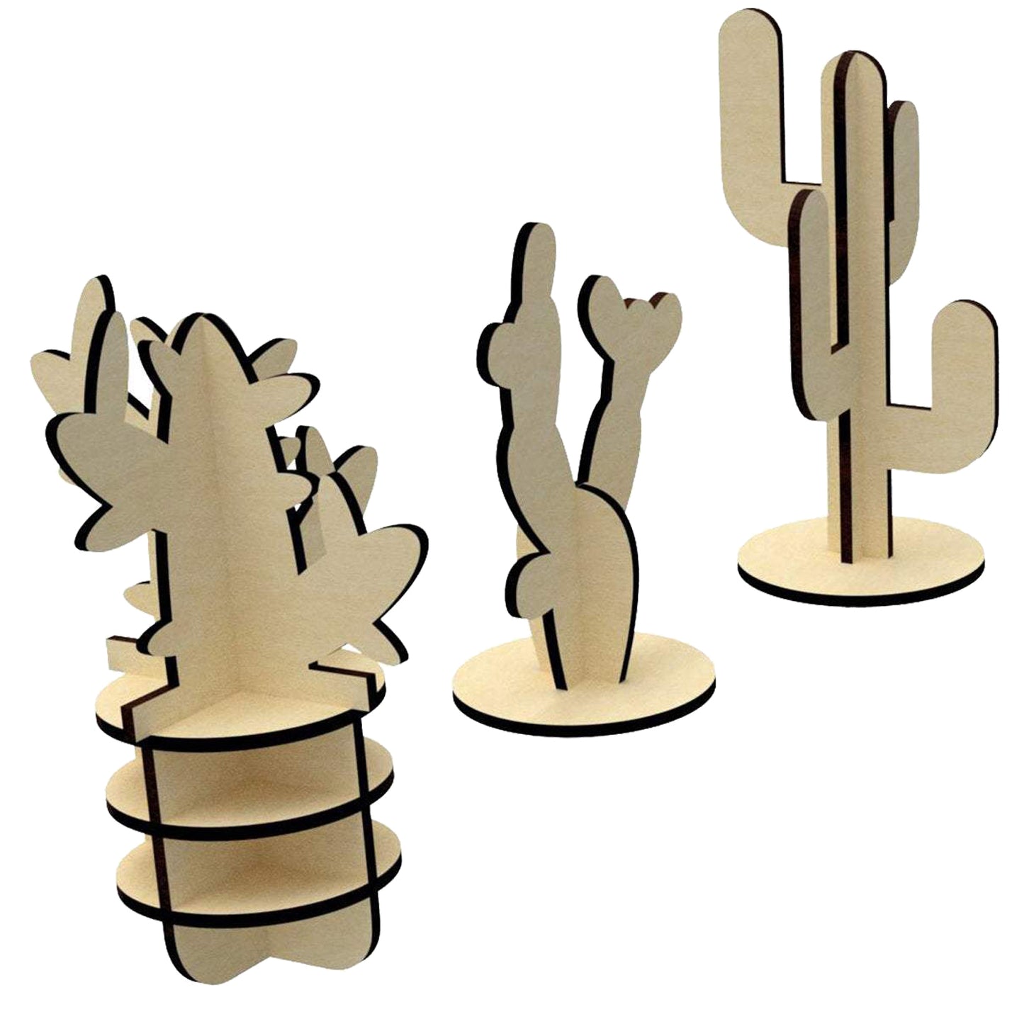 Cactuses