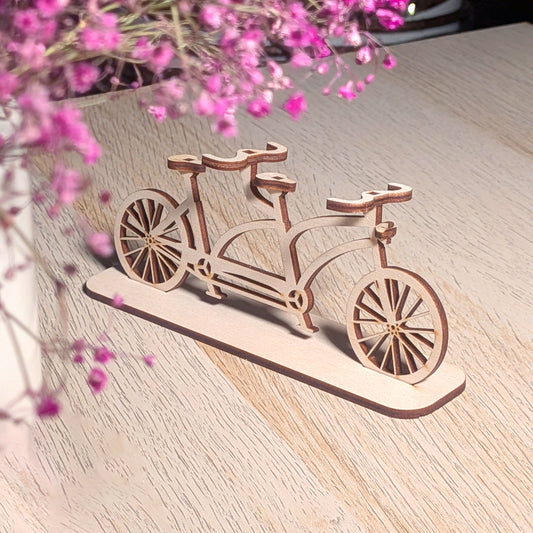 Tandem bicycle
