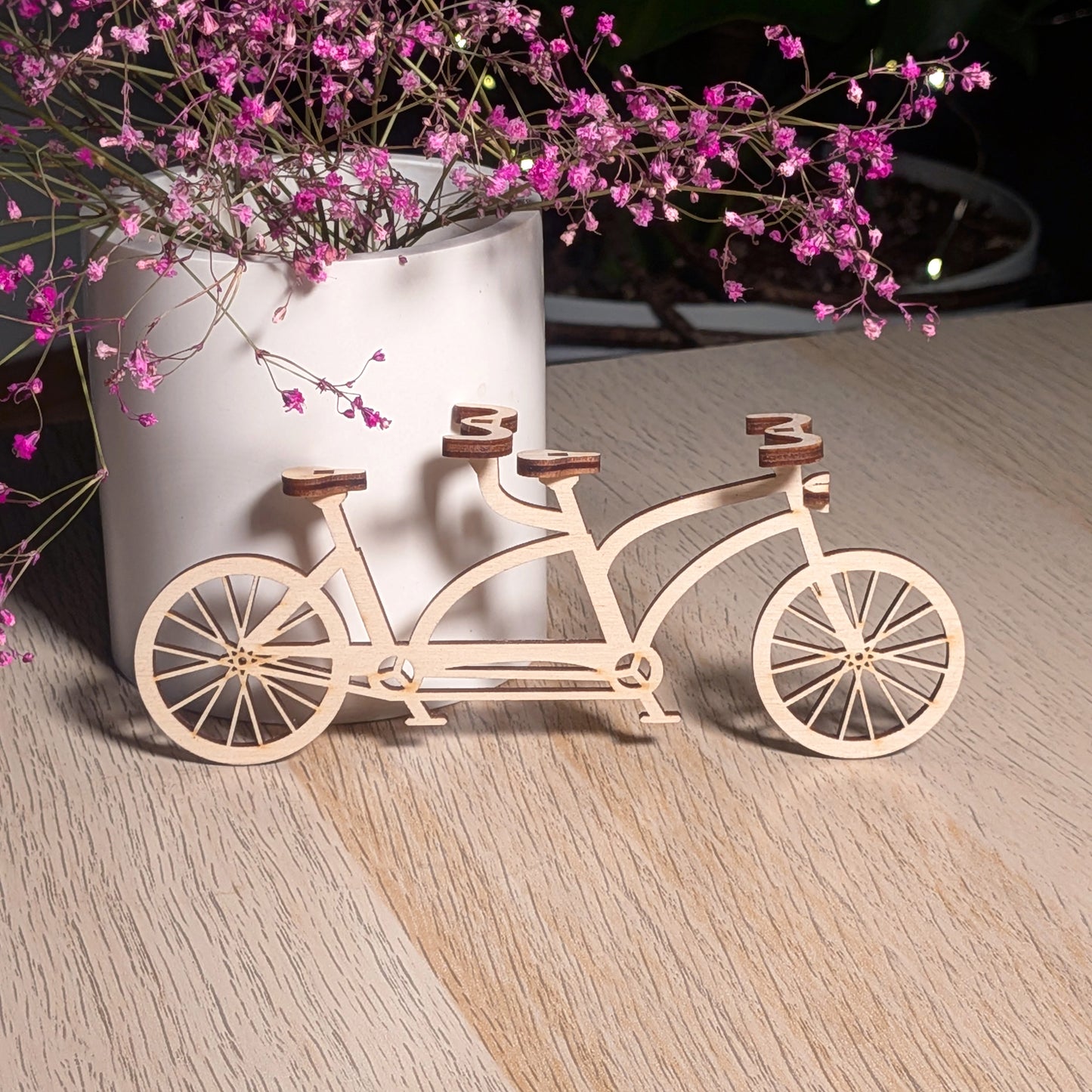 Tandem bicycle