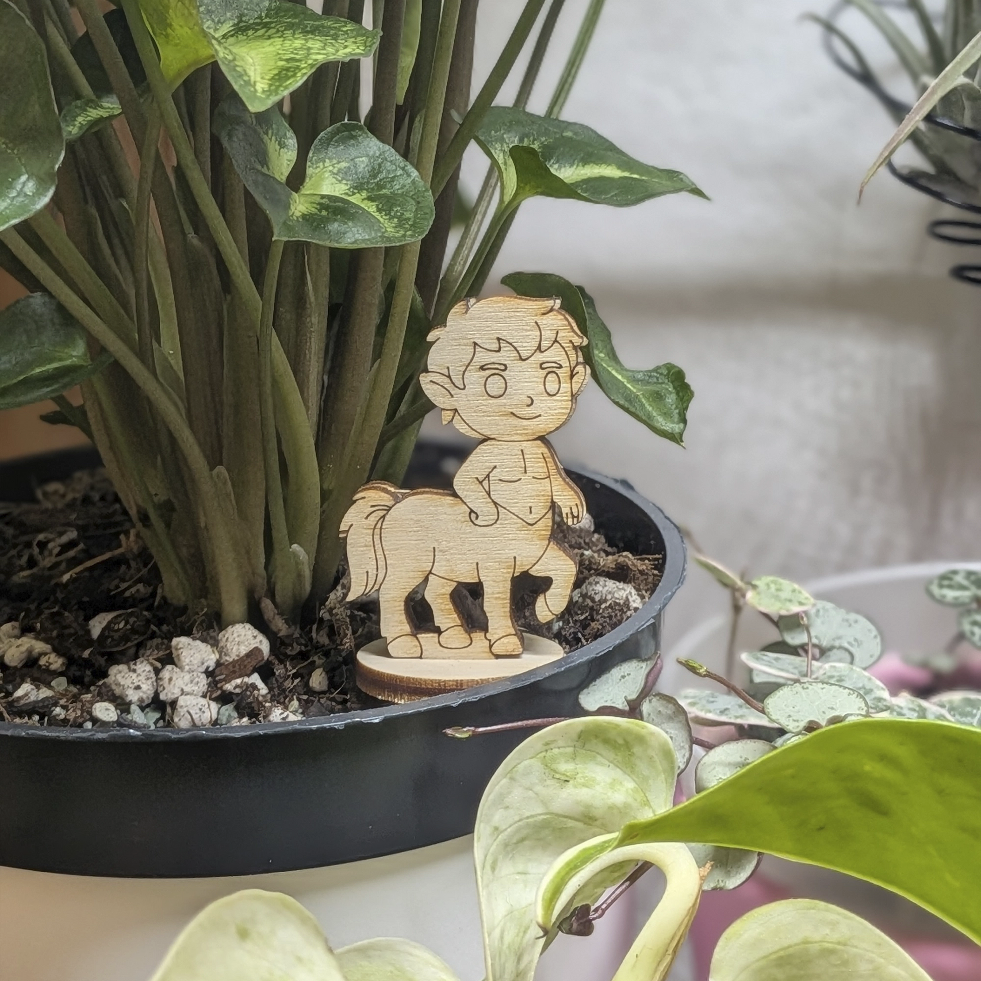 Centaur miniature of laser cut plywood in a plant pot. Features a human torso, horse body, and detailed wood grain texture