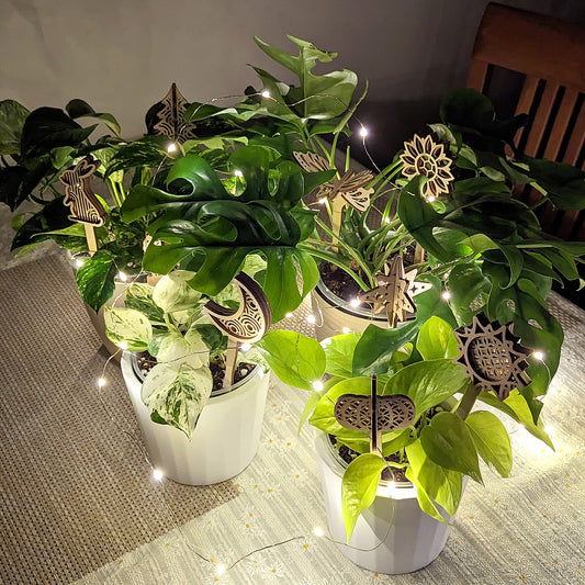 Plant Pick Set of 9