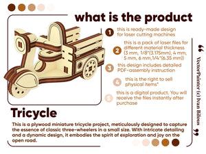 Tricycle Miniature