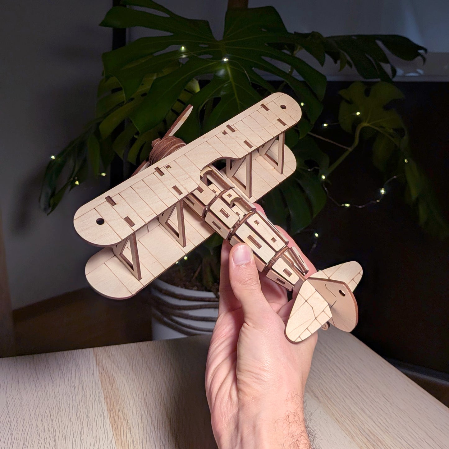 Biplane
