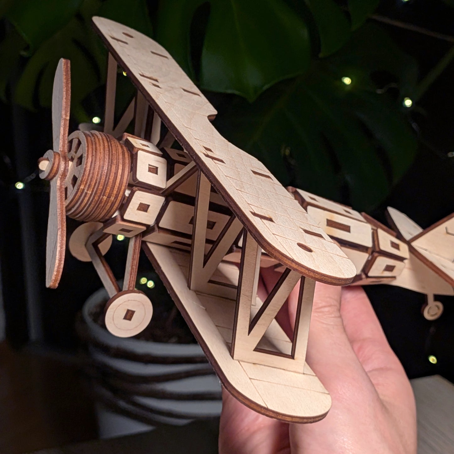 Biplane