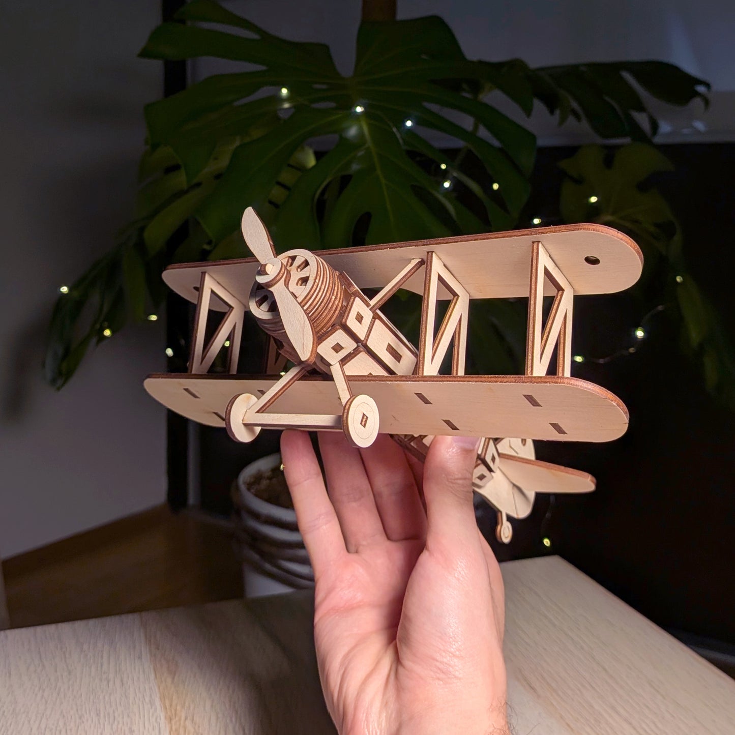 Biplane