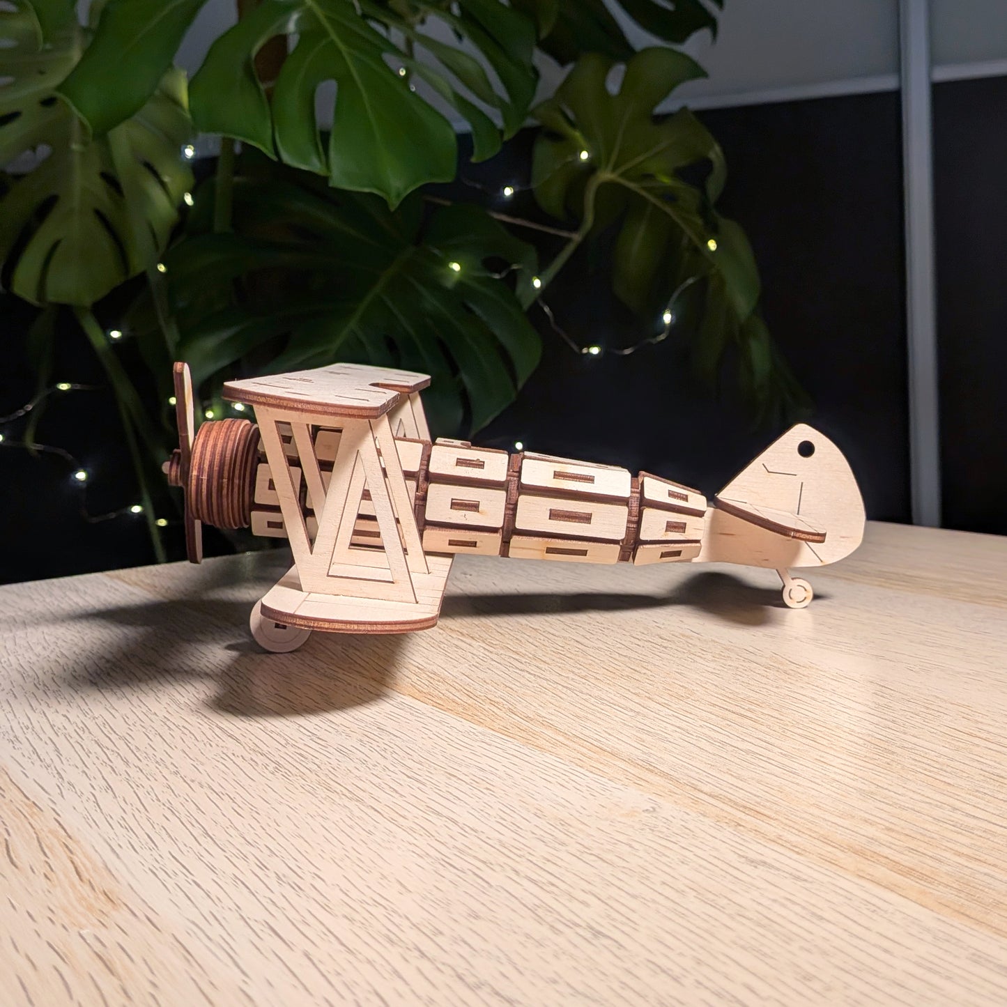 Biplane