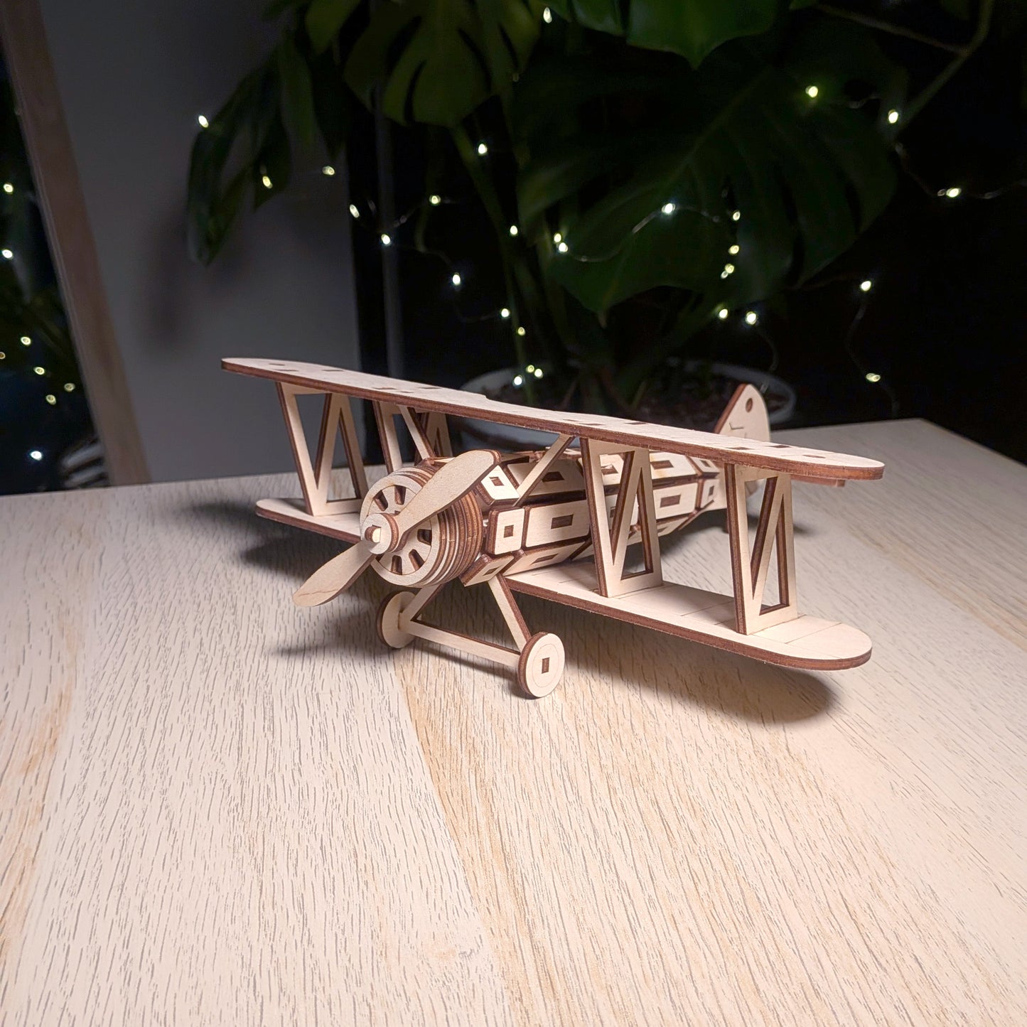 Biplane