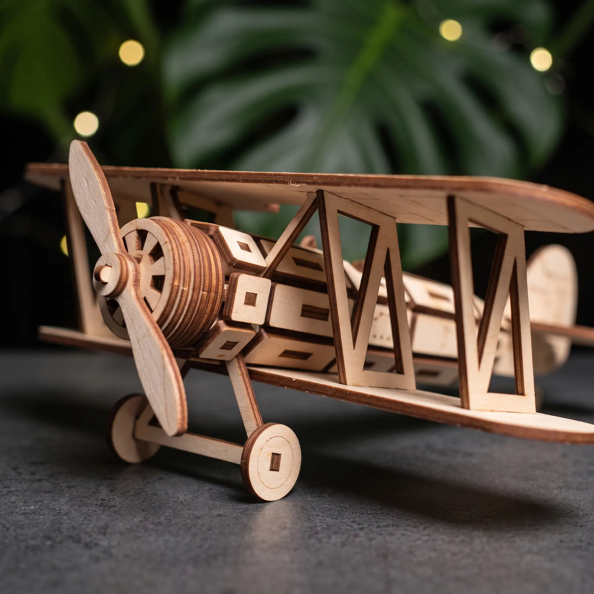 A wooden laser cut model of a biplane, with a propeller and wings, is displayed on a surface with blurred green leaves in the background.