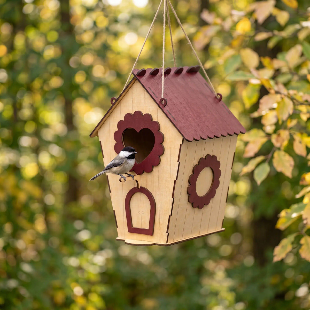 A small bird perches on a wooden laser cut birdhouse suspended from a string in a lush, green forest.