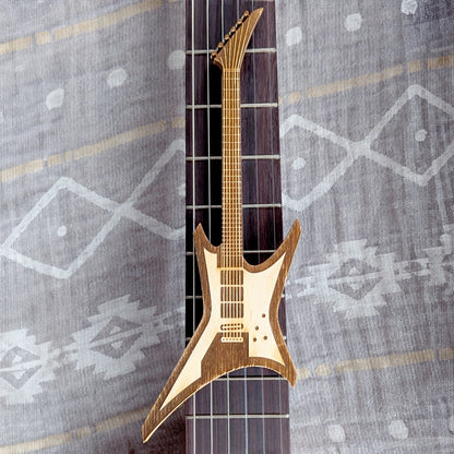 Electro Guitar pick holders #2