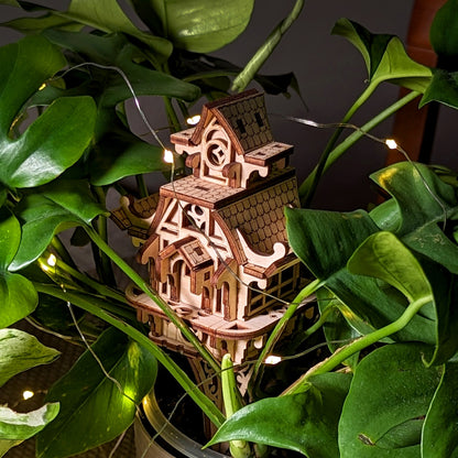 Fairy Plant House