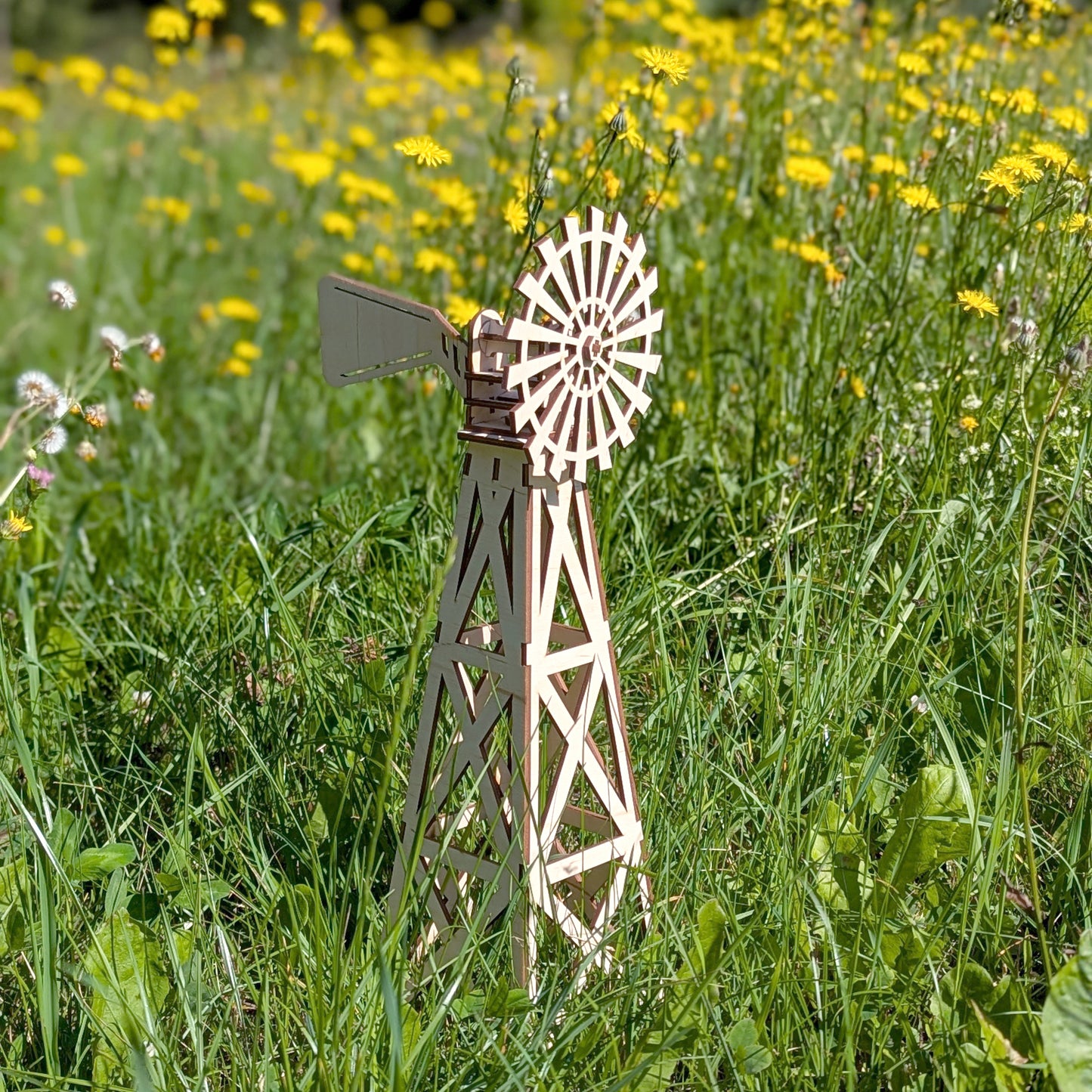 Farm windmill