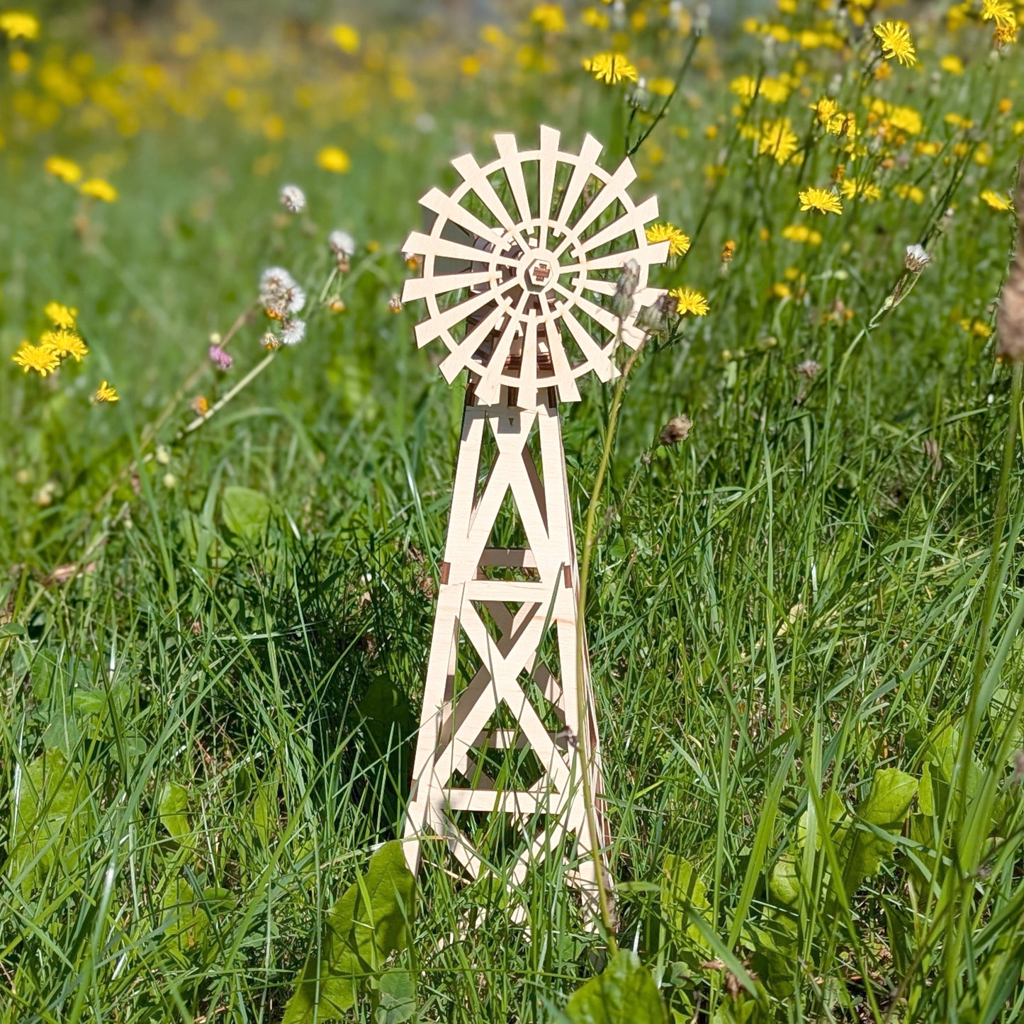 Farm windmill