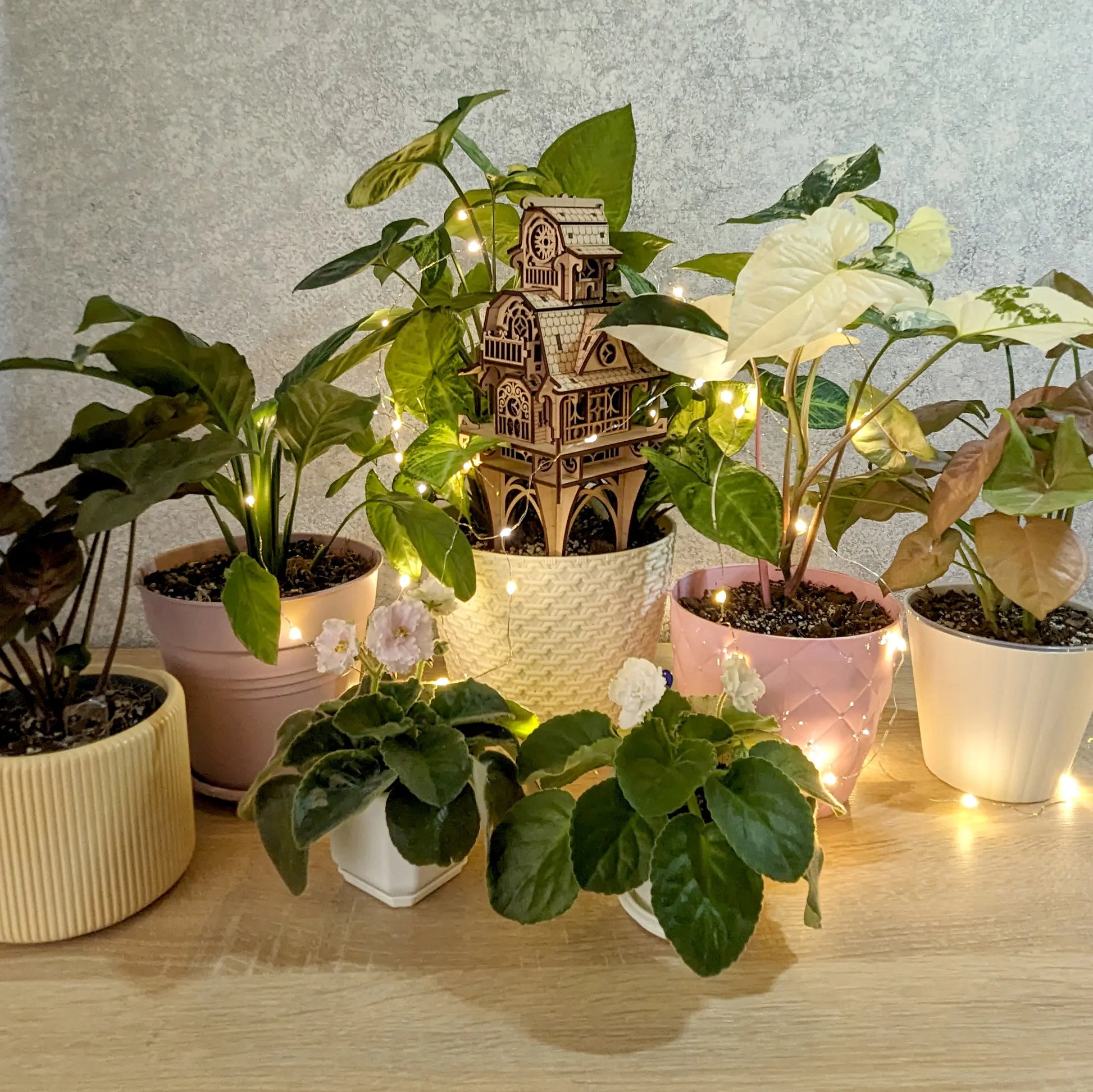 Wide horizontal view showcasing the miniature laser cut plywood fantasy house model set among several potted flowers.
