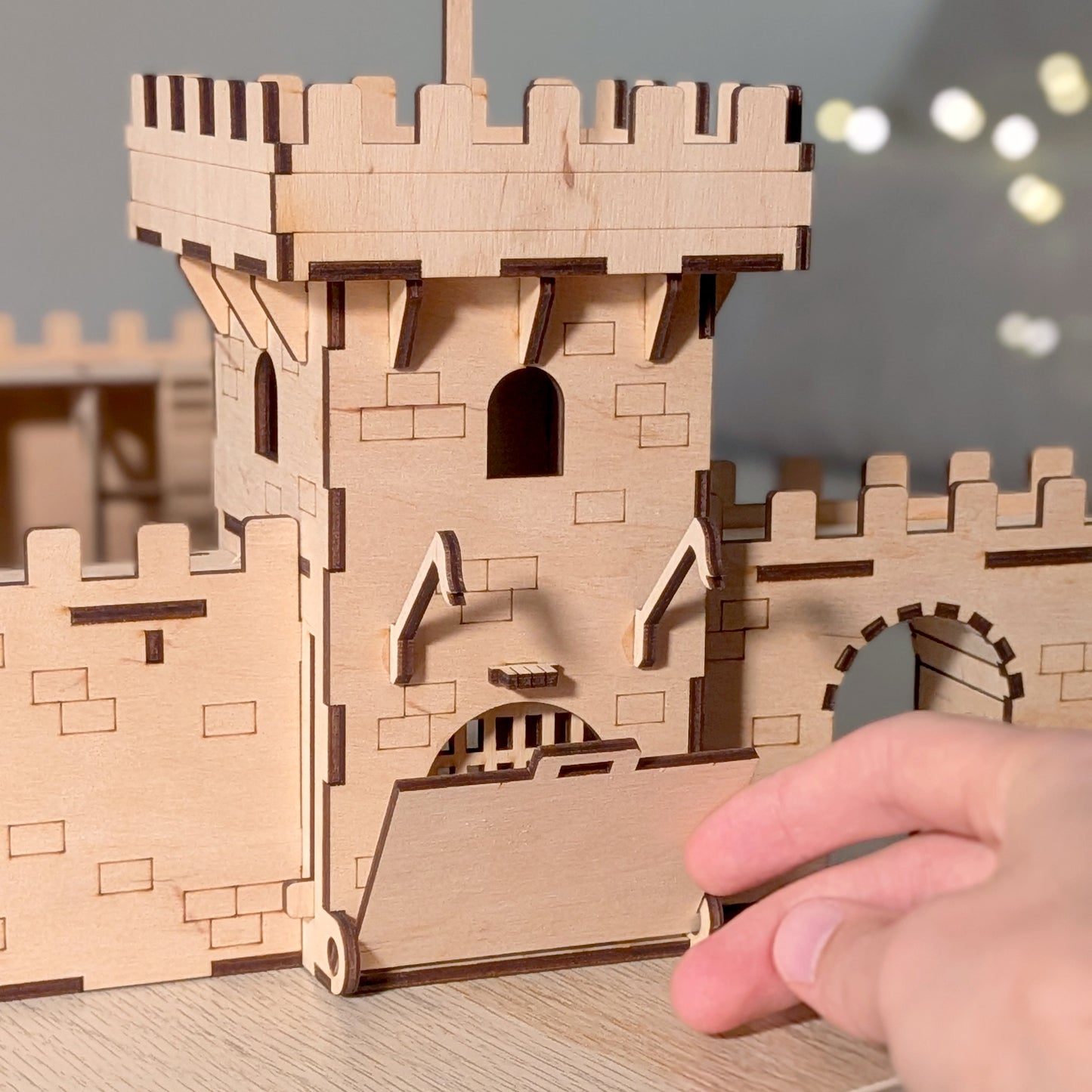 Main Gate of the Castle