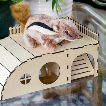 House for pet