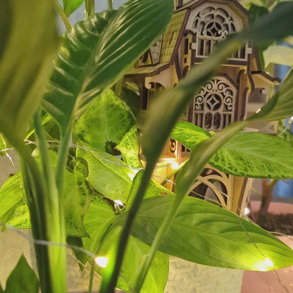 Garden Magic House on Stakes