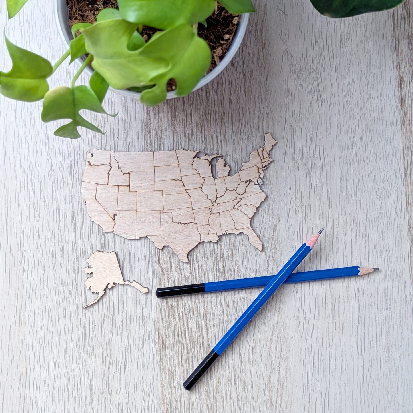 USA Puzzle Map