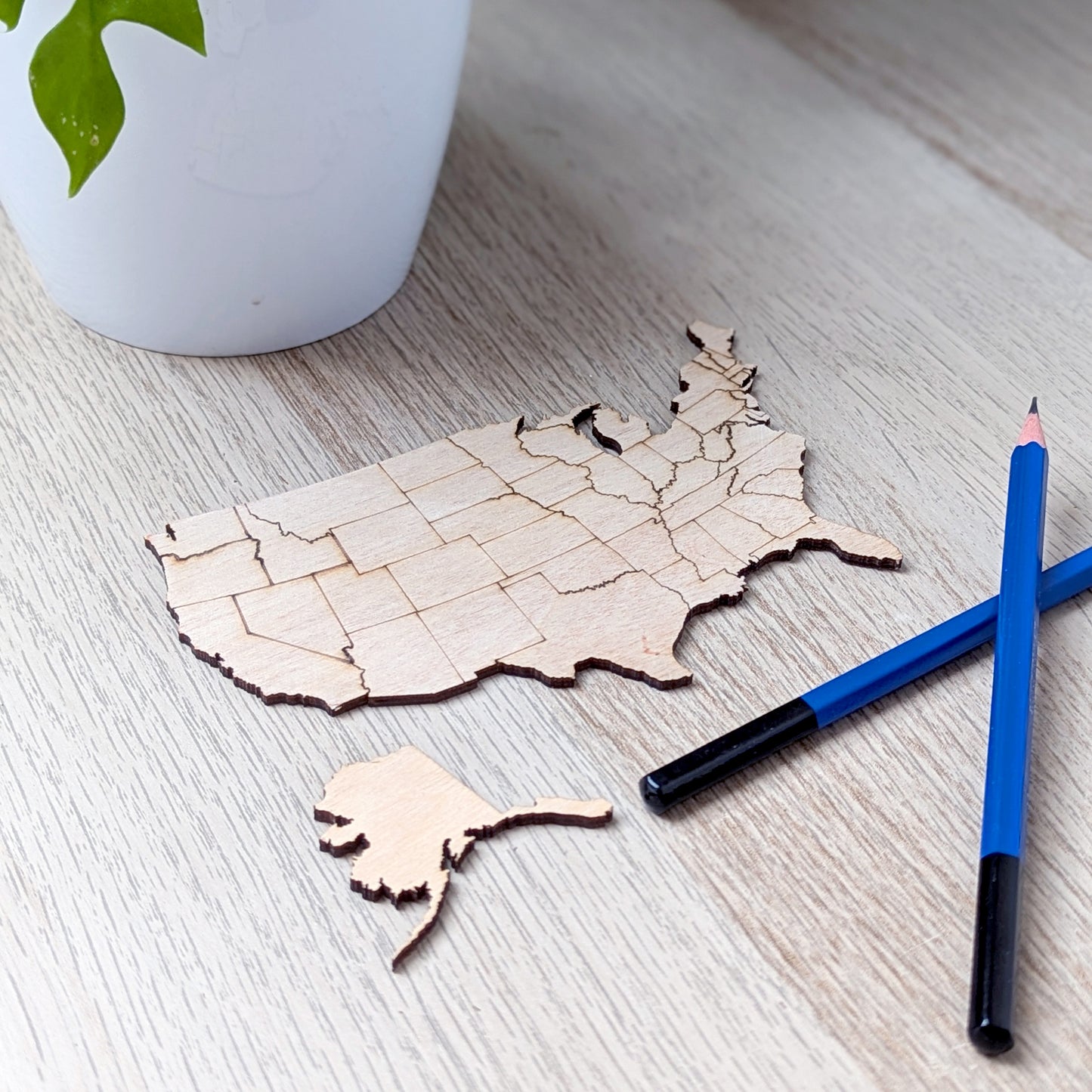 USA Puzzle Map