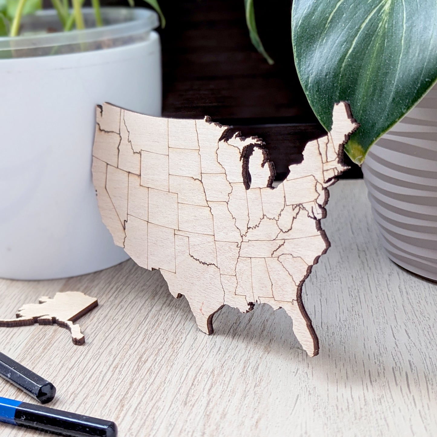 USA Puzzle Map