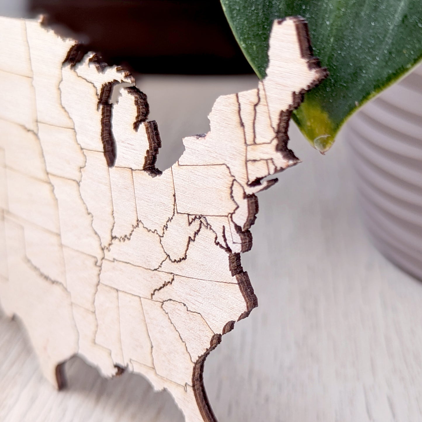 USA Puzzle Map
