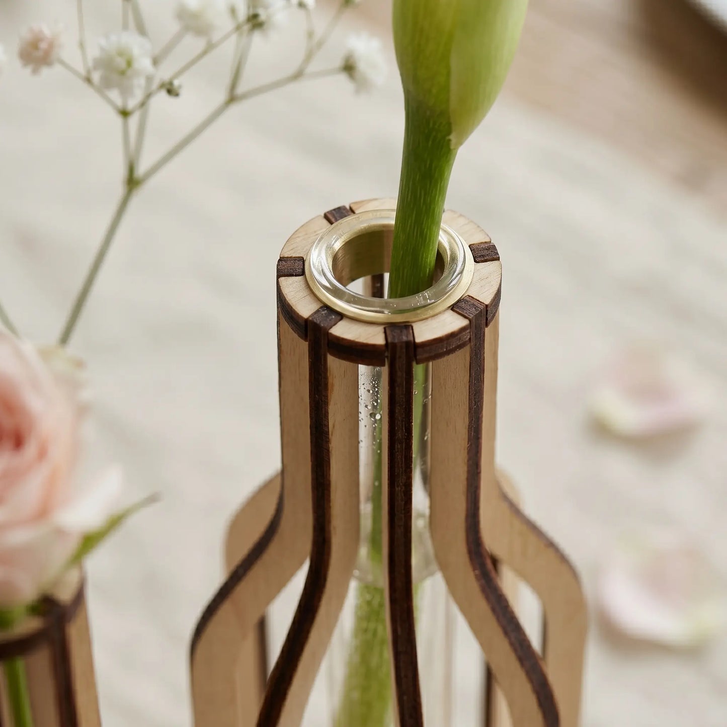 Propagation Station Laser Cut File, Test Tube Holder
