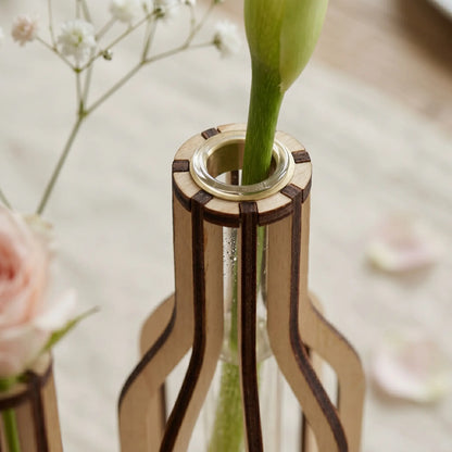 Propagation Station Laser Cut File, Test Tube Holder
