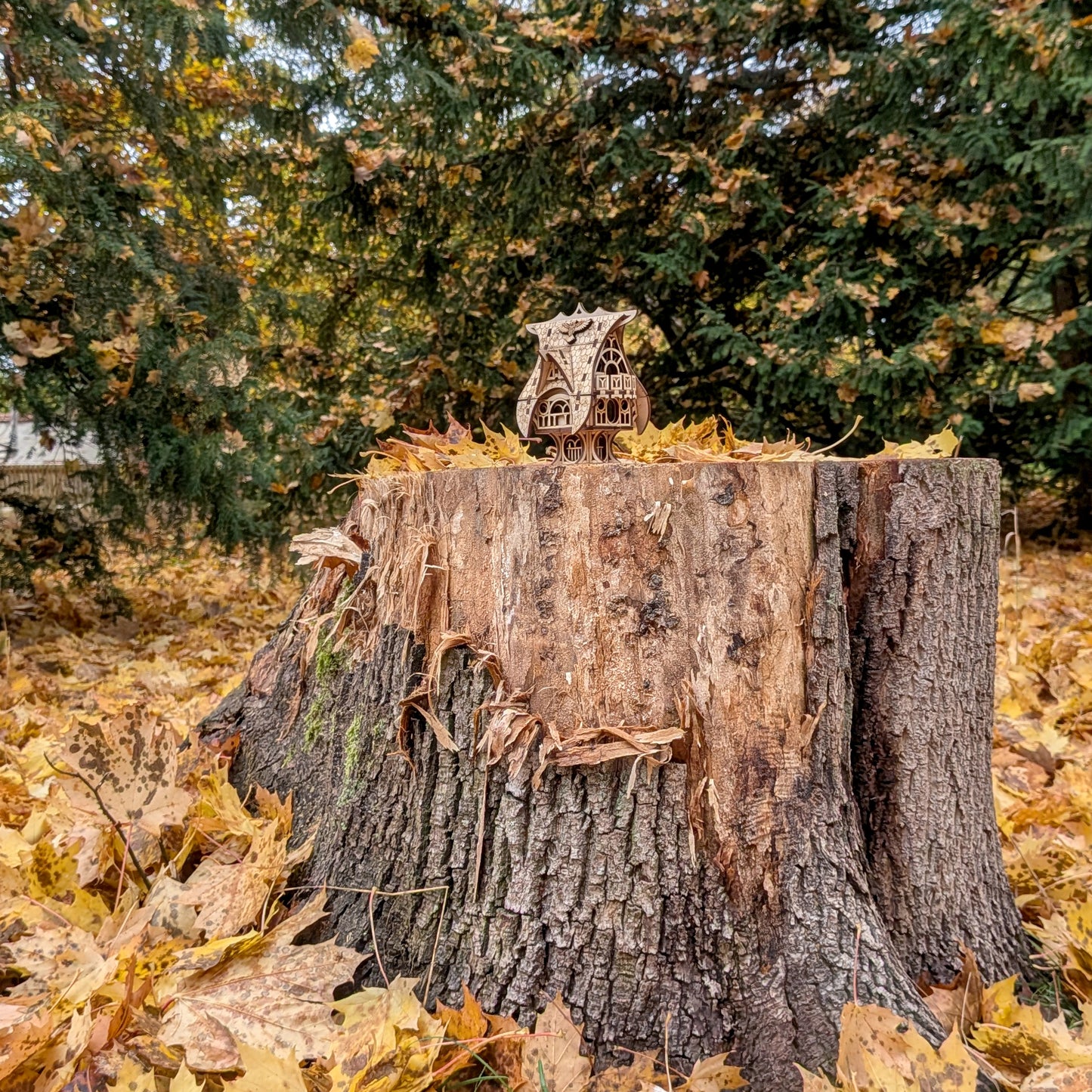 Small laser cut wooden fairy house placed on a large tree stump in a forest setting, surrounded by fallen leaves and trees in the background.