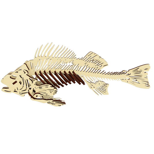 Fish skeleton