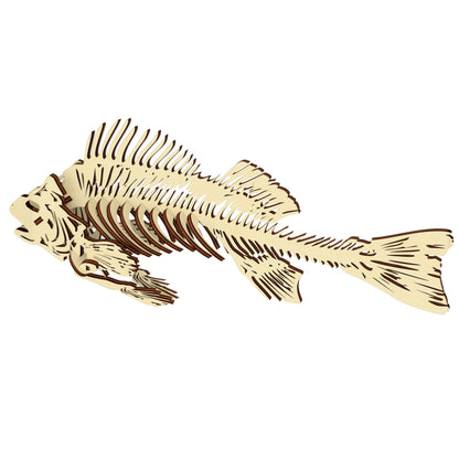 Fish skeleton