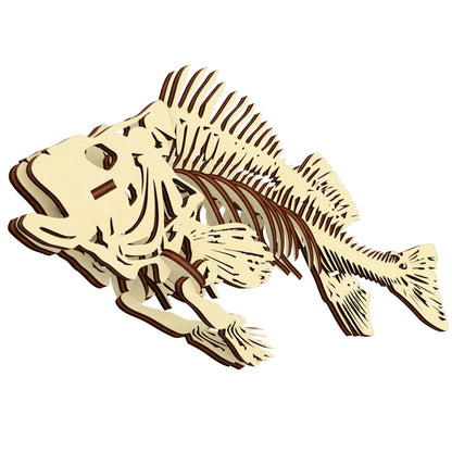 Fish skeleton