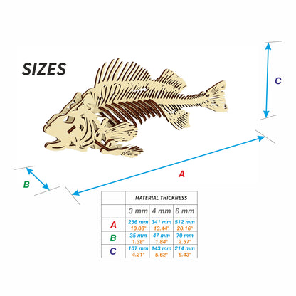 Fish skeleton