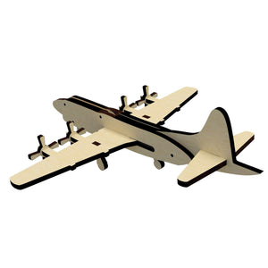 Airplane Miniature