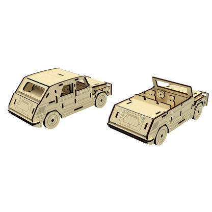 Car with 2 modes of Roof